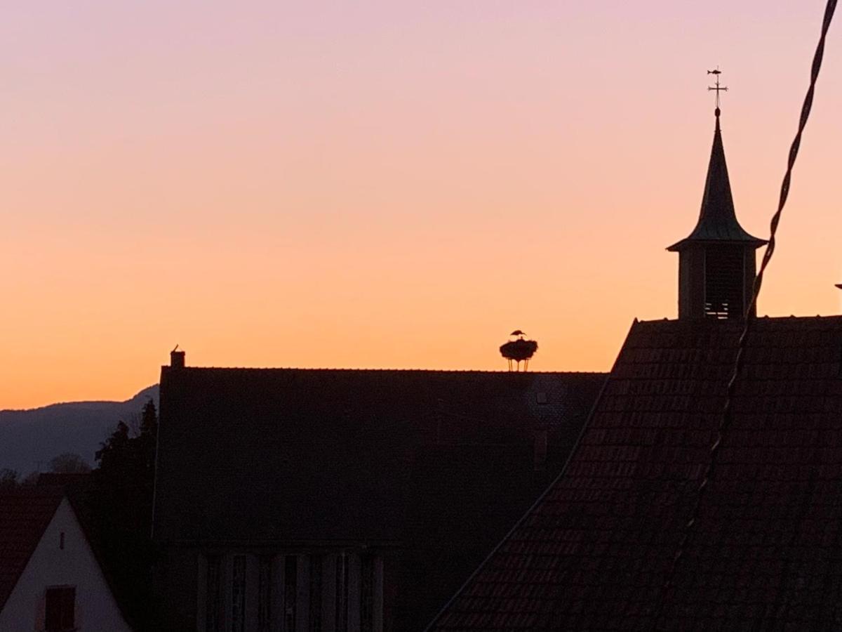 Apartmán Nid De Cigogne Illhaeusern Exteriér fotografie
